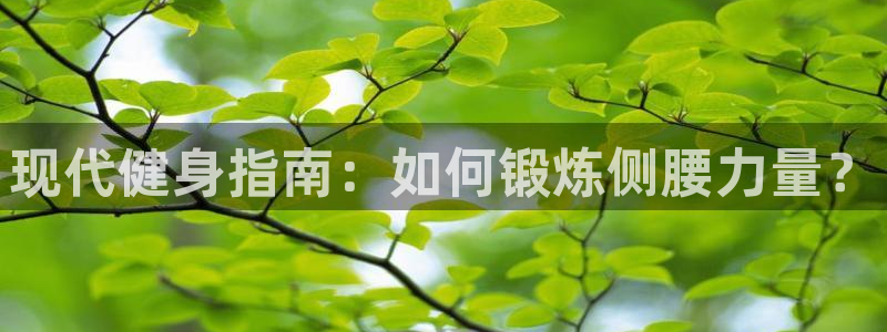 球王会体育官方正版app娱乐是那个系列的台子:现代健身指南: